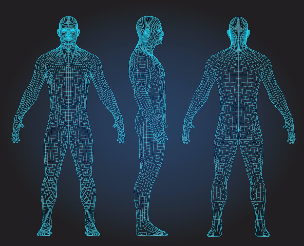 Human Body 3D Simulation - Iron Man Jarvis - Look Alike