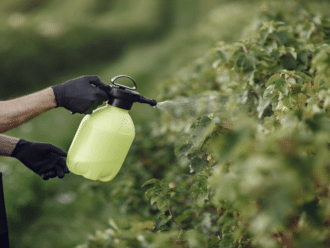 Dgal France Releases 2025 National Control Plan Pesticide Residues Food