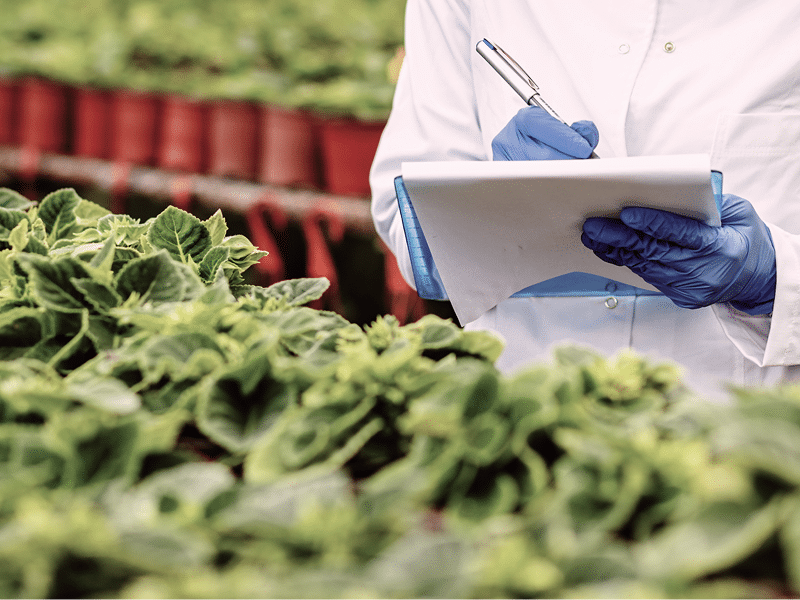 Uk Government Publishes Monitoring Plan Track Progress Environment Act