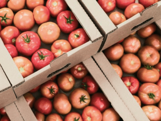 Le ministère néo-zélandais des Industries philippine (MPI) publie des directives de conformité à l'exportation de produits alimentaires à l'intention des exportateurs de produits alimentaires.