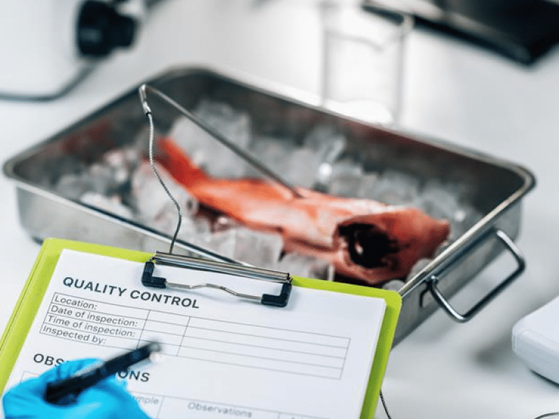 英国が新規食品認可ガイダンスを更新、主な変更点、FSA FSS事前申請プロセス2026