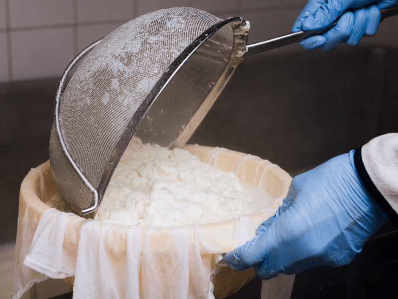 Uk Fsa Clarifies Evidence Requirements Precision Fermentation Novel Food Applications